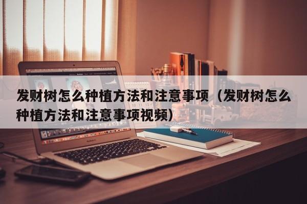 发财树怎么种植方法和注意事项（发财树怎么种植方法和注意事项视频） 