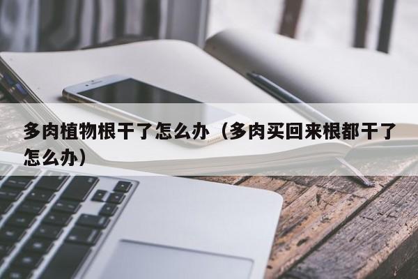 多肉植物根干了怎么办（多肉买回来根都干了怎么办） 