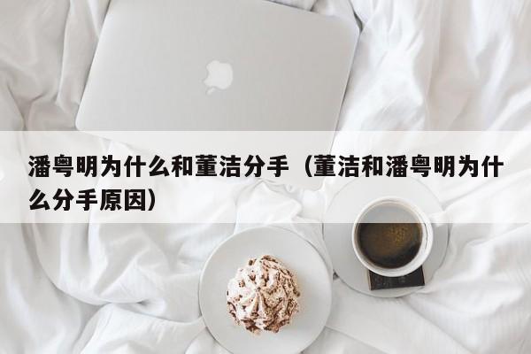 潘粤明为什么和董洁分手（董洁和潘粤明为什么分手原因） 