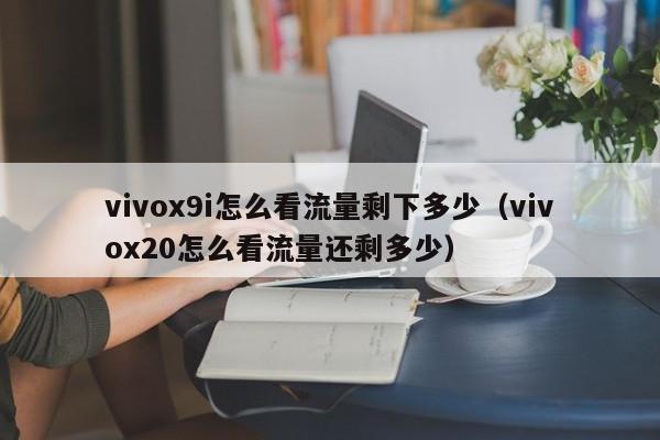 vivox9i怎么看流量剩下多少（vivox20怎么看流量还剩多少） 