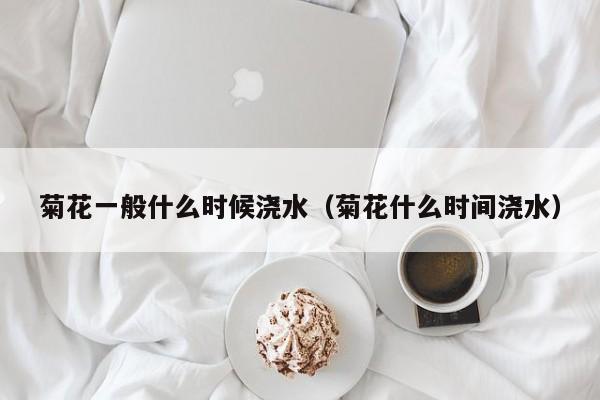 菊花一般什么时候浇水（菊花什么时间浇水） 