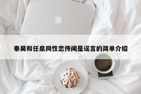 秦昊和任泉同性恋传闻是谣言的简单介绍 