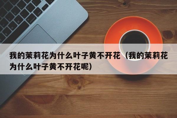 我的茉莉花为什么叶子黄不开花（我的茉莉花为什么叶子黄不开花呢） 