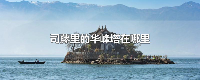 华峰塔在哪里(华峰塔百度百科)