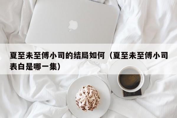 夏至未至傅小司的结局如何（夏至未至傅小司表白是哪一集） 