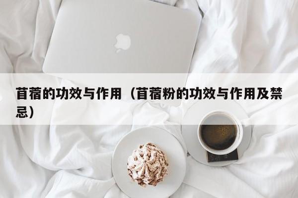 苜蓿的功效与作用（苜蓿粉的功效与作用及禁忌） 