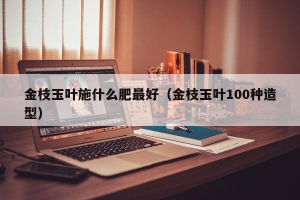 金枝玉叶施什么肥最好（金枝玉叶100种造型） 