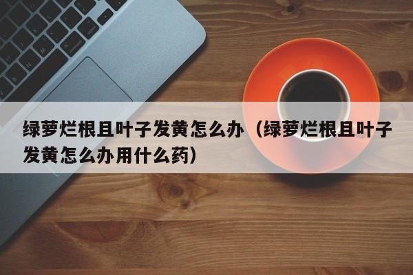 绿萝烂根且叶子发黄怎么办（绿萝烂根且叶子发黄怎么办用什么药） 