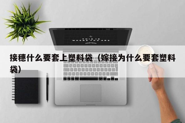 接穗什么要套上塑料袋（嫁接为什么要套塑料袋） 