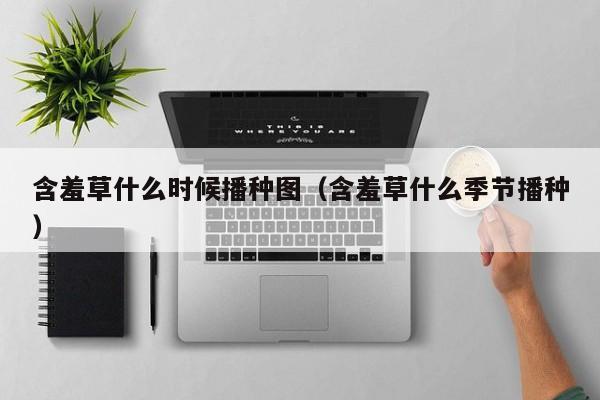 含羞草什么时候播种图（含羞草什么季节播种） 