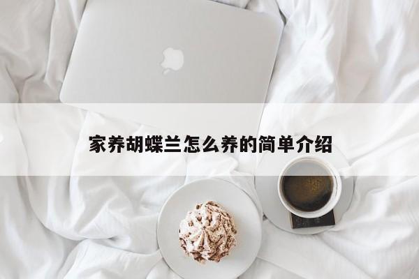 家养胡蝶兰怎么养的简单介绍 