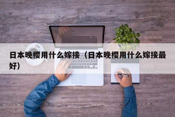 日本晚樱用什么嫁接（日本晚樱用什么嫁接最好） 