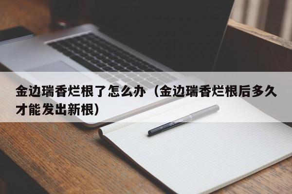 金边瑞香烂根了怎么办（金边瑞香烂根后多久才能发出新根） 