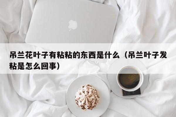 吊兰花叶子有粘粘的东西是什么（吊兰叶子发粘是怎么回事） 