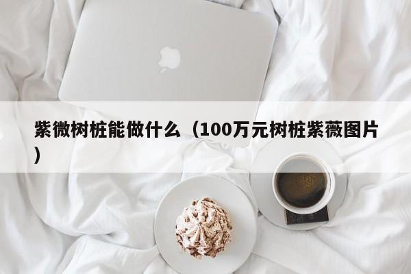 紫微树桩能做什么（100万元树桩紫薇图片） 