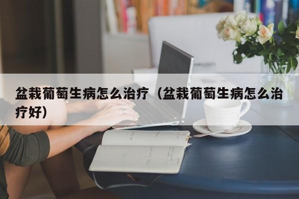 盆栽葡萄生病怎么治疗（盆栽葡萄生病怎么治疗好） 