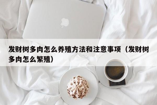 发财树多肉怎么养殖方法和注意事项（发财树多肉怎么繁殖） 