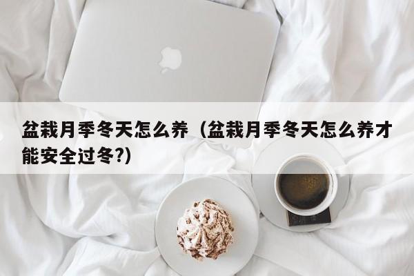 盆栽月季冬天怎么养（盆栽月季冬天怎么养才能安全过冬?） 