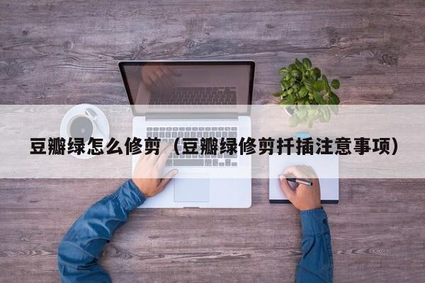 豆瓣绿怎么修剪（豆瓣绿修剪扦插注意事项） 