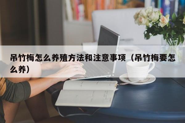 吊竹梅怎么养殖方法和注意事项（吊竹梅要怎么养） 