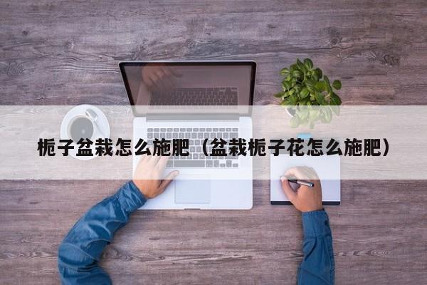 栀子盆栽怎么施肥（盆栽栀子花怎么施肥） 