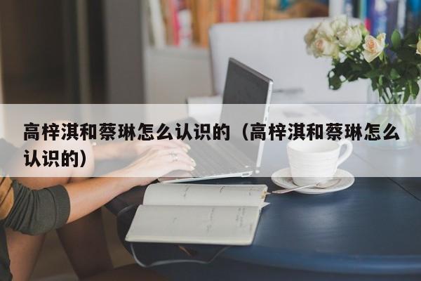 高梓淇和蔡琳怎么认识的（高梓淇和蔡琳怎么认识的） 