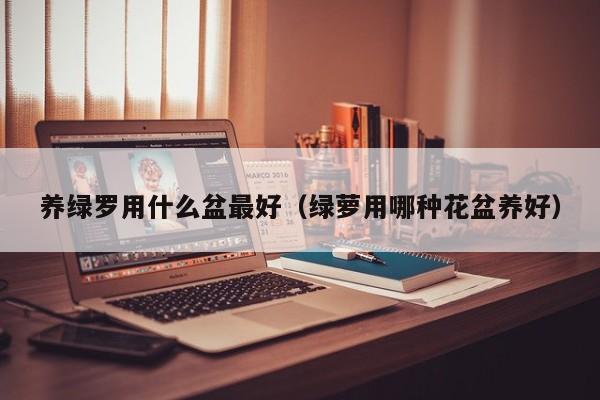 养绿罗用什么盆最好（绿萝用哪种花盆养好） 