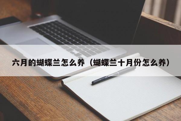 六月的蝴蝶兰怎么养（蝴蝶兰十月份怎么养） 