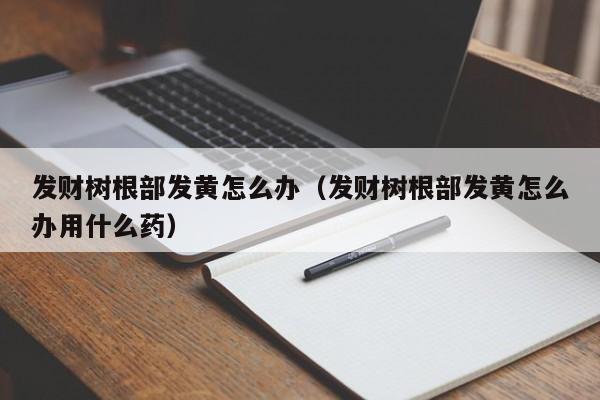 发财树根部发黄怎么办（发财树根部发黄怎么办用什么药） 