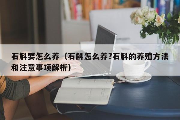 石斛要怎么养（石斛怎么养?石斛的养殖方法和注意事项解析） 