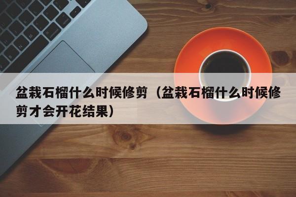 盆栽石榴什么时候修剪（盆栽石榴什么时候修剪才会开花结果） 