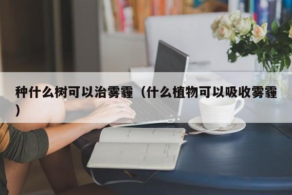 种什么树可以治雾霾（什么植物可以吸收雾霾） 