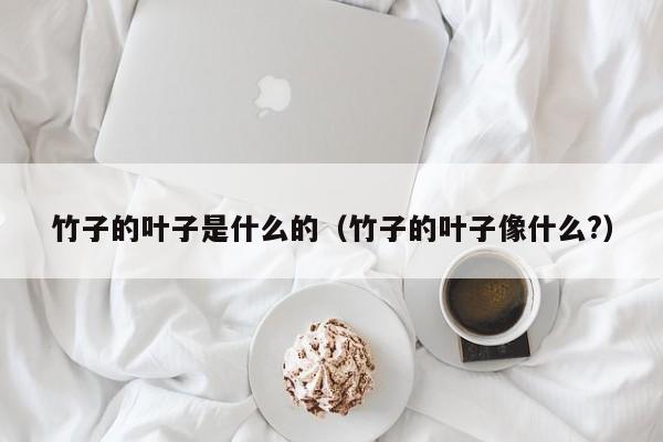 竹子的叶子是什么的（竹子的叶子像什么?） 