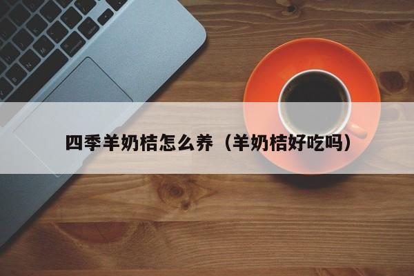 四季羊奶桔怎么养（羊奶桔好吃吗） 