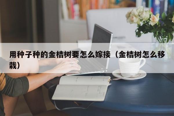 用种子种的金桔树要怎么嫁接（金桔树怎么移栽） 