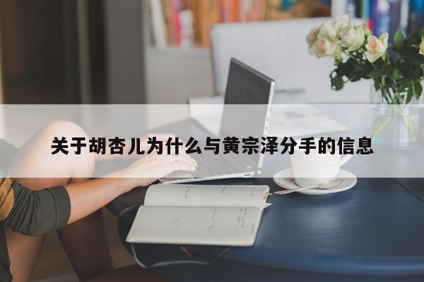 关于胡杏儿为什么与黄宗泽分手的信息 