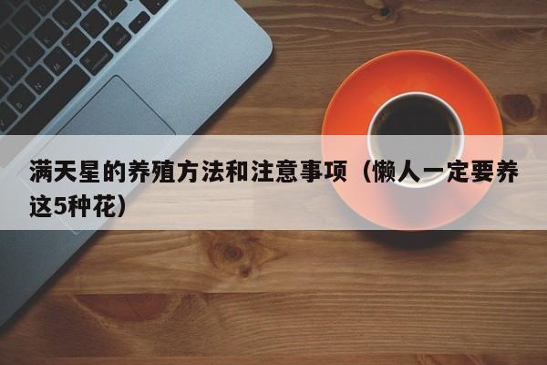 满天星的养殖方法和注意事项（懒人一定要养这5种花） 