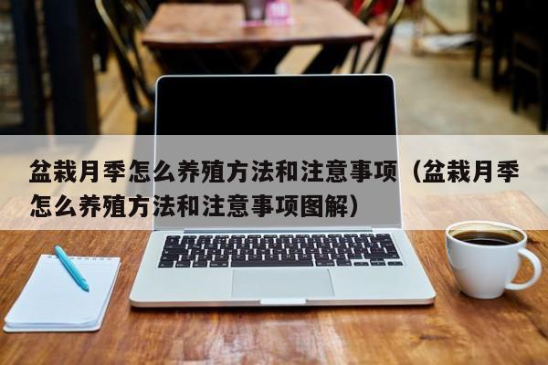 盆栽月季怎么养殖方法和注意事项（盆栽月季怎么养殖方法和注意事项图解） 