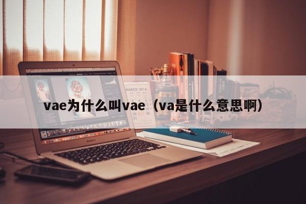 vae为什么叫vae（va是什么意思啊） 