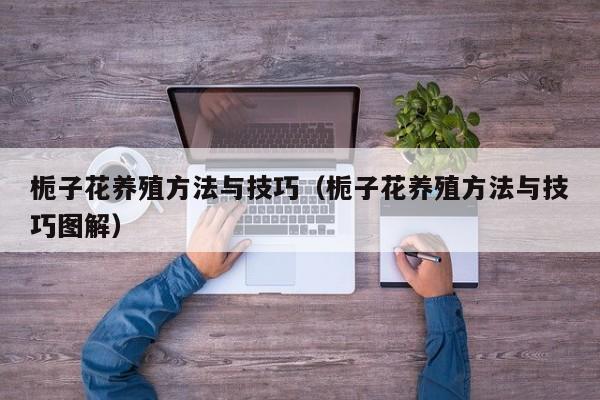 栀子花养殖方法与技巧（栀子花养殖方法与技巧图解） 