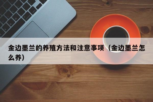 金边墨兰的养殖方法和注意事项（金边墨兰怎么养） 