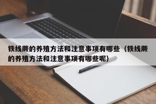 铁线蕨的养殖方法和注意事项有哪些（铁线蕨的养殖方法和注意事项有哪些呢） 