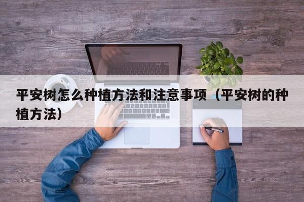 平安树怎么种植方法和注意事项（平安树的种植方法） 