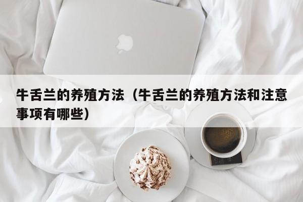 牛舌兰的养殖方法（牛舌兰的养殖方法和注意事项有哪些） 