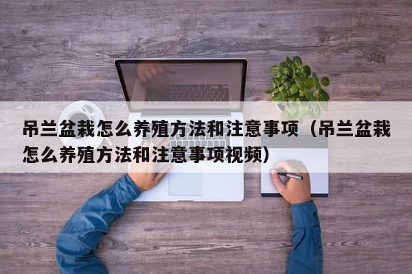 吊兰盆栽怎么养殖方法和注意事项（吊兰盆栽怎么养殖方法和注意事项视频） 