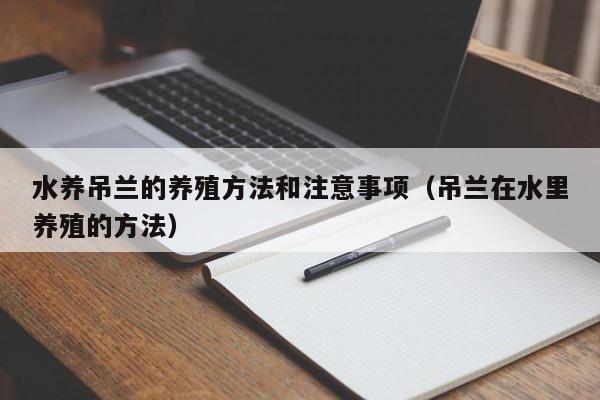 水养吊兰的养殖方法和注意事项（吊兰在水里养殖的方法） 