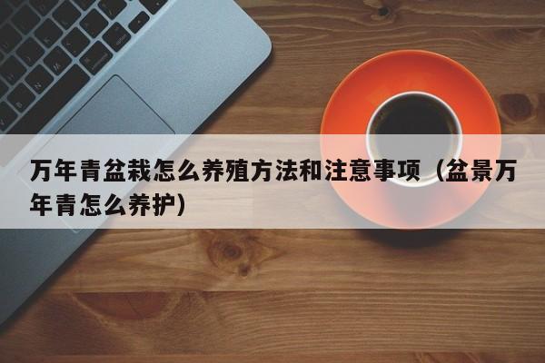 万年青盆栽怎么养殖方法和注意事项（盆景万年青怎么养护） 