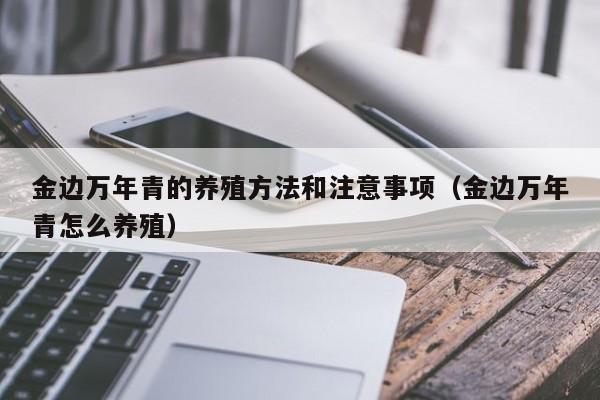 金边万年青的养殖方法和注意事项（金边万年青怎么养殖） 