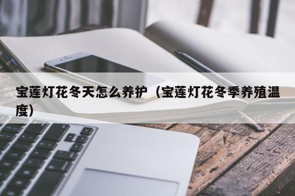 宝莲灯花冬天怎么养护（宝莲灯花冬季养殖温度） 