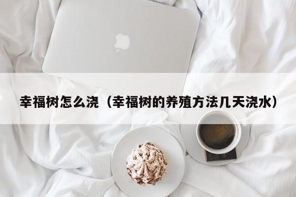 幸福树怎么浇（幸福树的养殖方法几天浇水） 